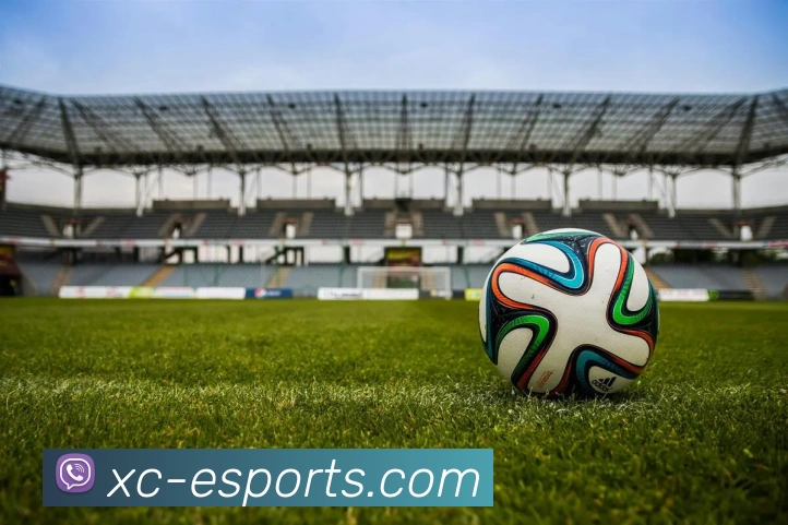 杏彩体育官方网站服务体系